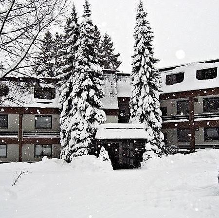 Welcome In - Apartments Golfhof Winterberg Zimmer foto